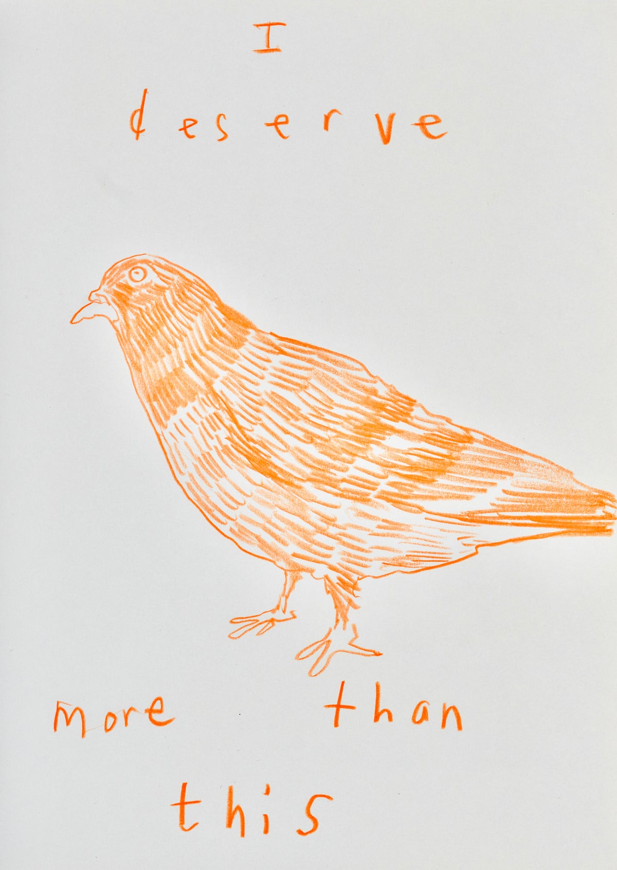 I Deserve More Than This bird artwork by Akash Bhatt