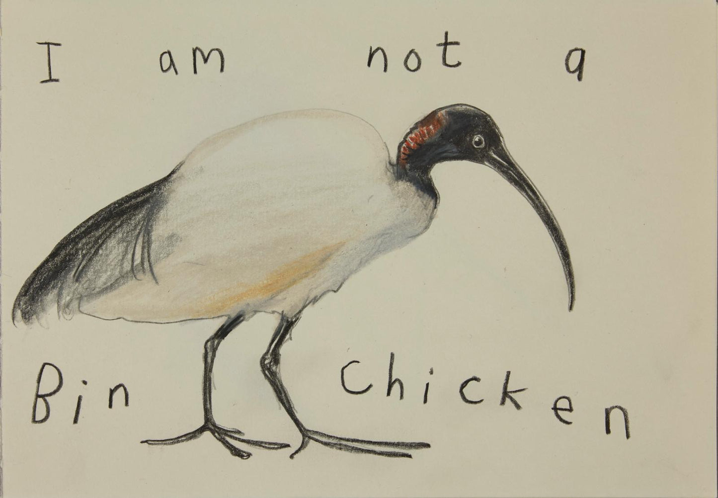 I Am Not a Bin Chicken